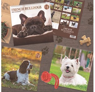 Deluxe Calendar Dog Breeds
